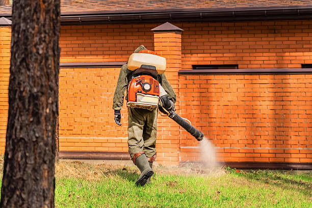 Trusted Termite Control service in Egypt, AL - Nex Pest Control